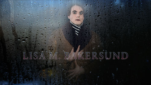 Video.Poetry / Lisa M. Bakersund, 2015